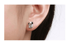 Pair of Crystal Owl Earrings