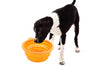 2-Pack: Pet Bowls