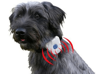 Ultrasonic No-Bark Dog Collar