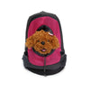 Mesh Cloth Pet Carrier Shoulder Sling Backpack
